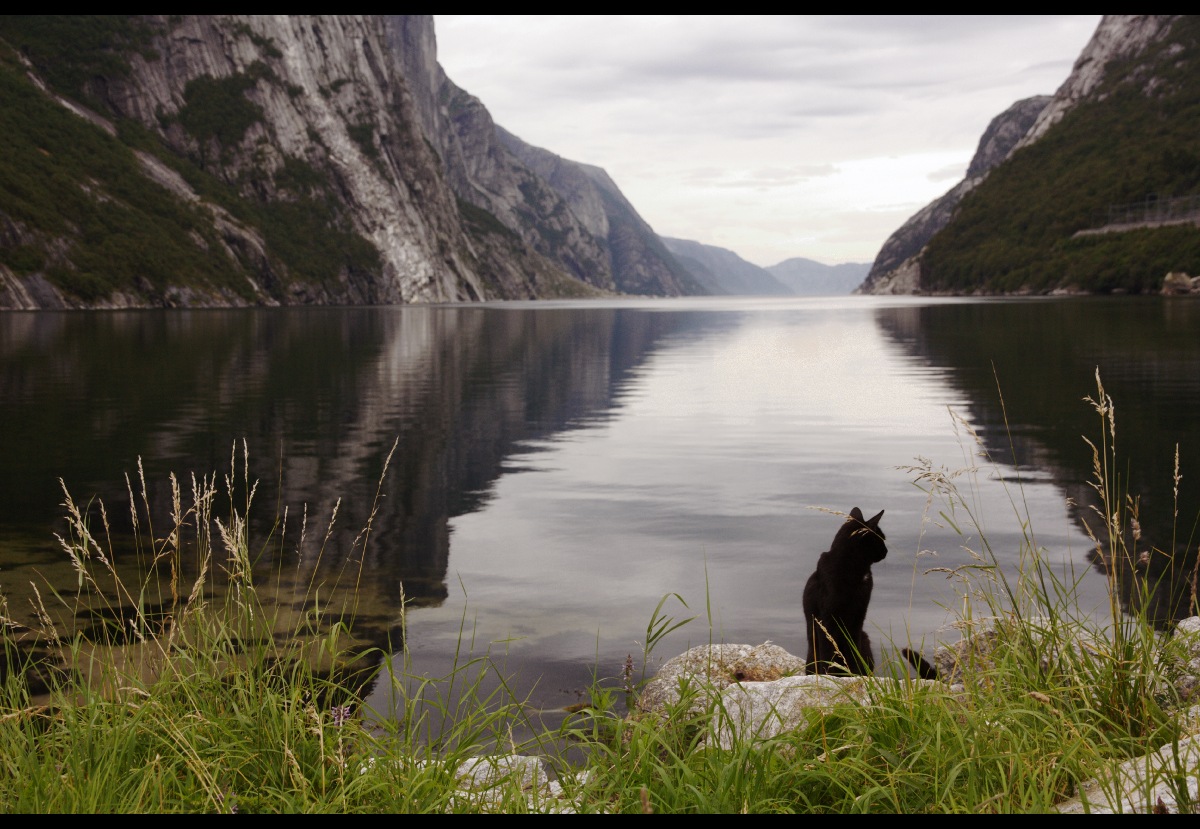 photo "***" tags: landscape, Norway