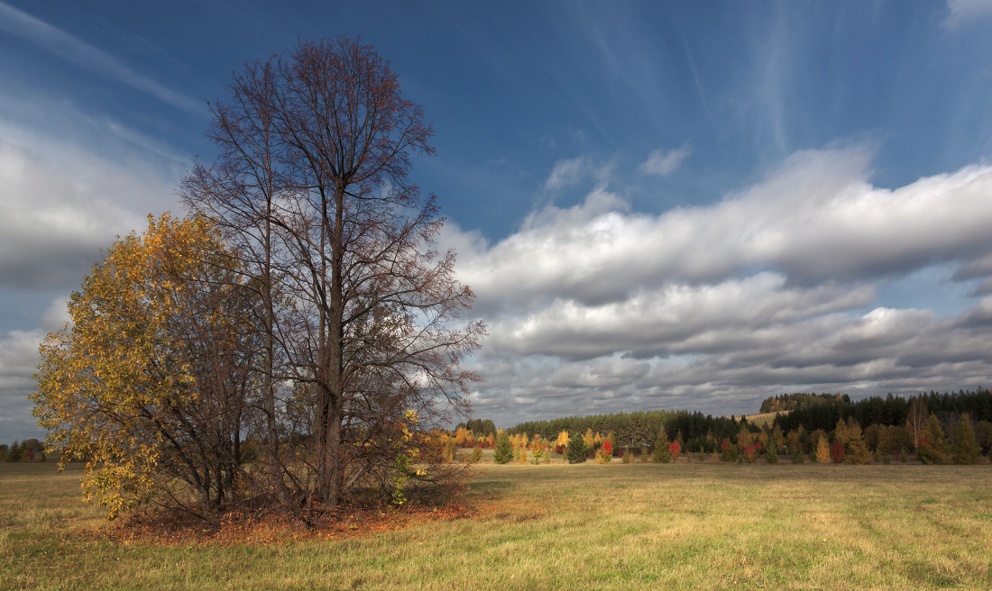 photo "***" tags: landscape, autumn, clouds, field, forest, grass, tree, краски