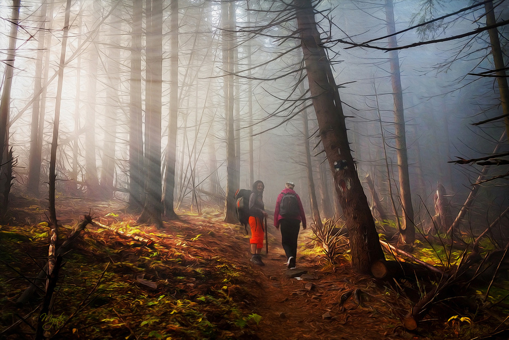 photo "walking through mysterious forest" tags: digital art, landscape, forest, mystic, mystic forest