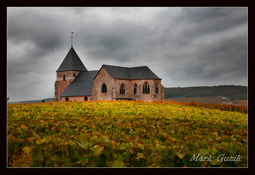 photo "Between the vines" tags: travel, 