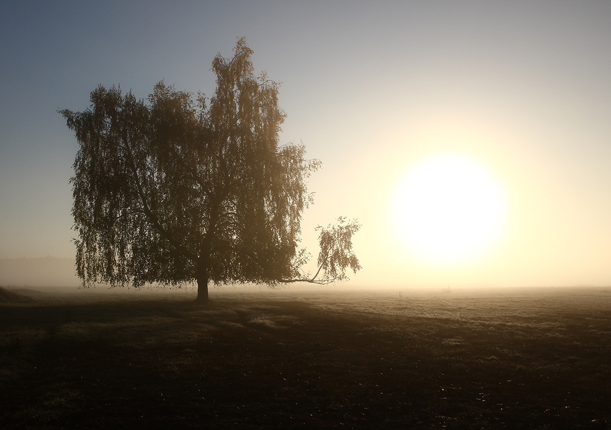 photo "***" tags: landscape, 