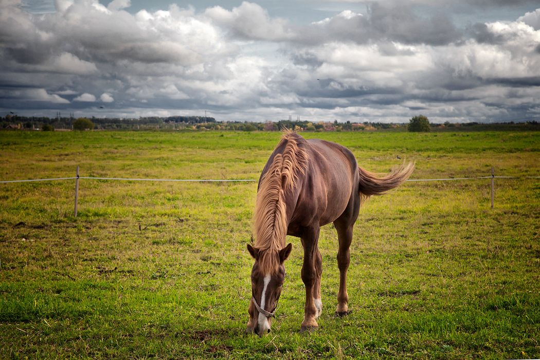 photo "***" tags: nature, landscape, 