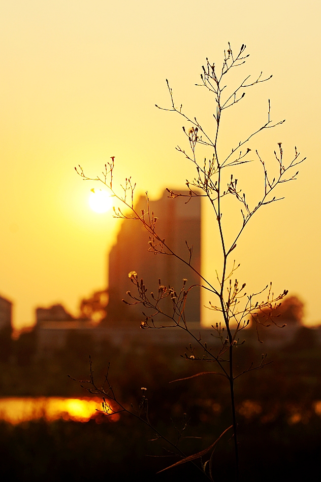 photo "sunset near the lake" tags: landscape, city, old-time, Asia, autumn, lake, water