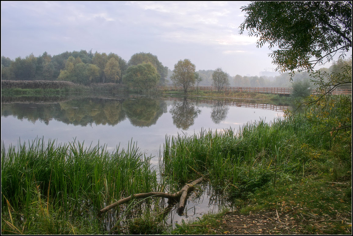 фото "нежное прикосновение осени" метки: пейзаж, природа, 