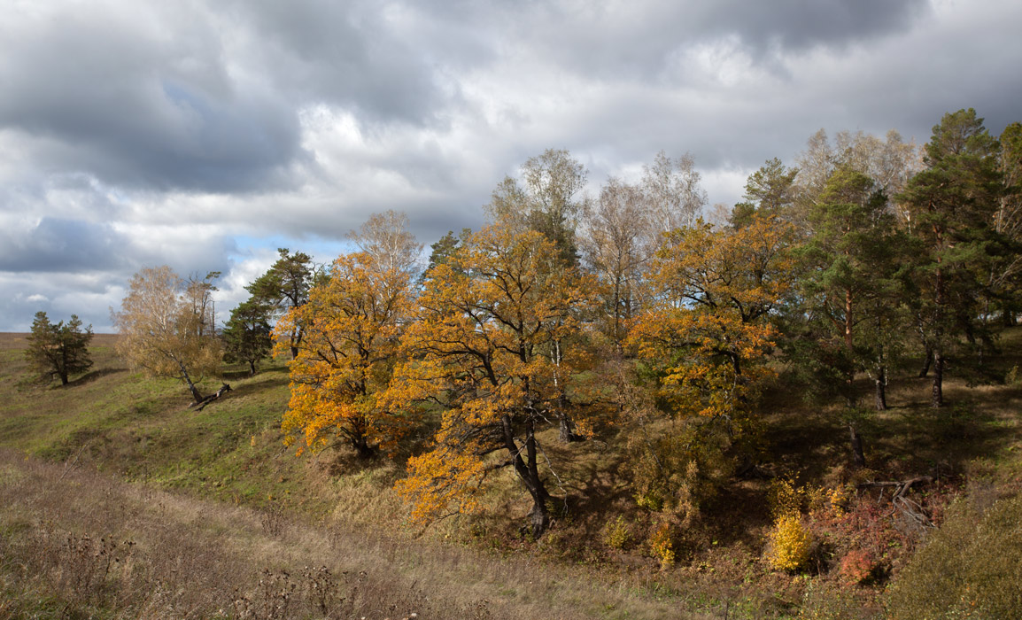 photo "***" tags: landscape, autumn