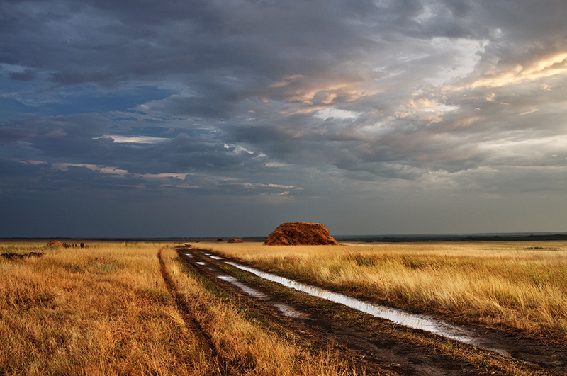 фото "Стога России" метки: пейзаж, cloudy, road, stacks Russia, дорога, облака, пасмурно, стога России