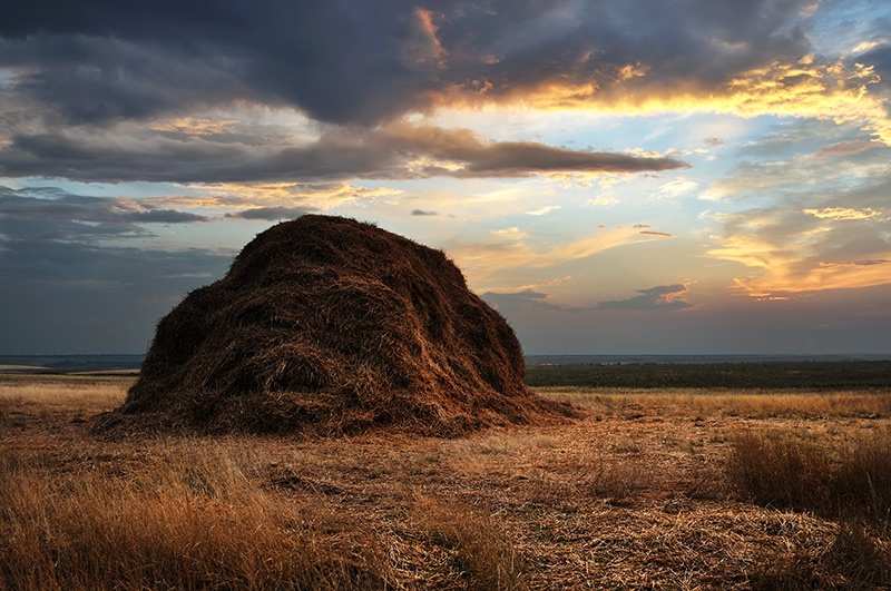 photo "Stacks Russia" tags: landscape, clouds, cloudy, stacks Russia, пасмурно, стога России