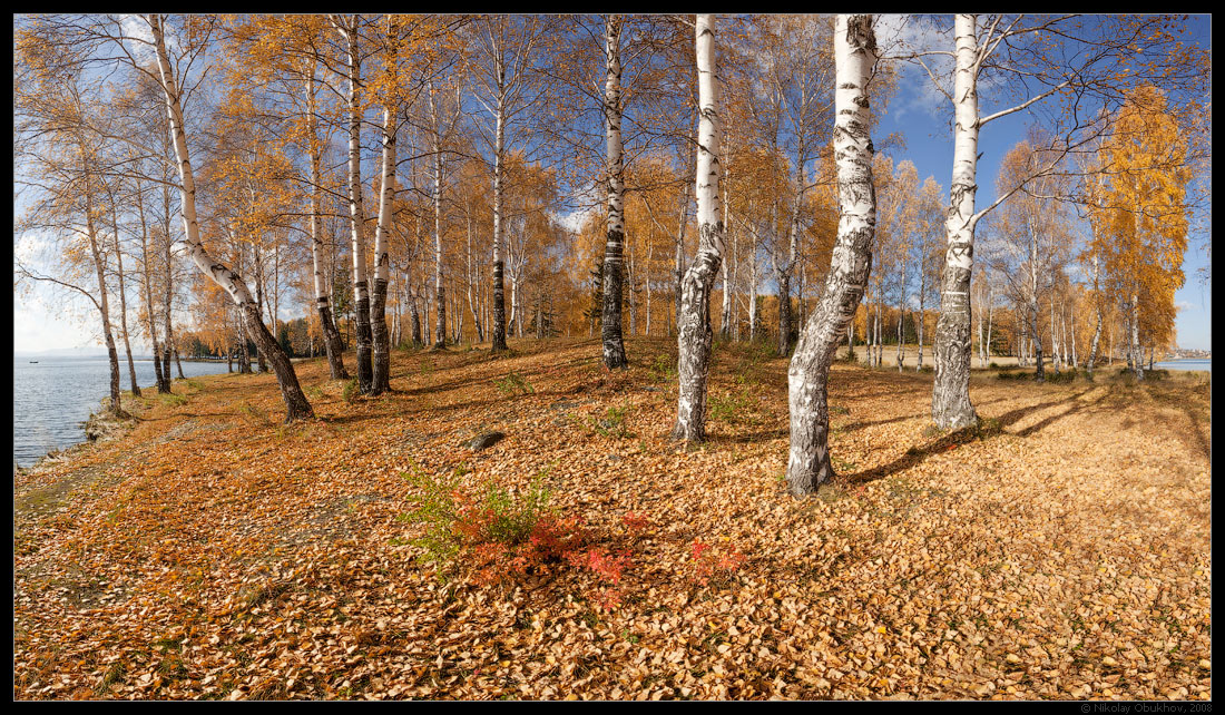 фото "0189_0175-0180" метки: пейзаж, лес, осень