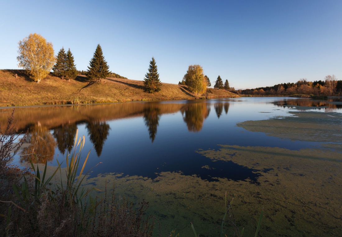 photo "***" tags: landscape, forest, grass, lake, reflections, tree