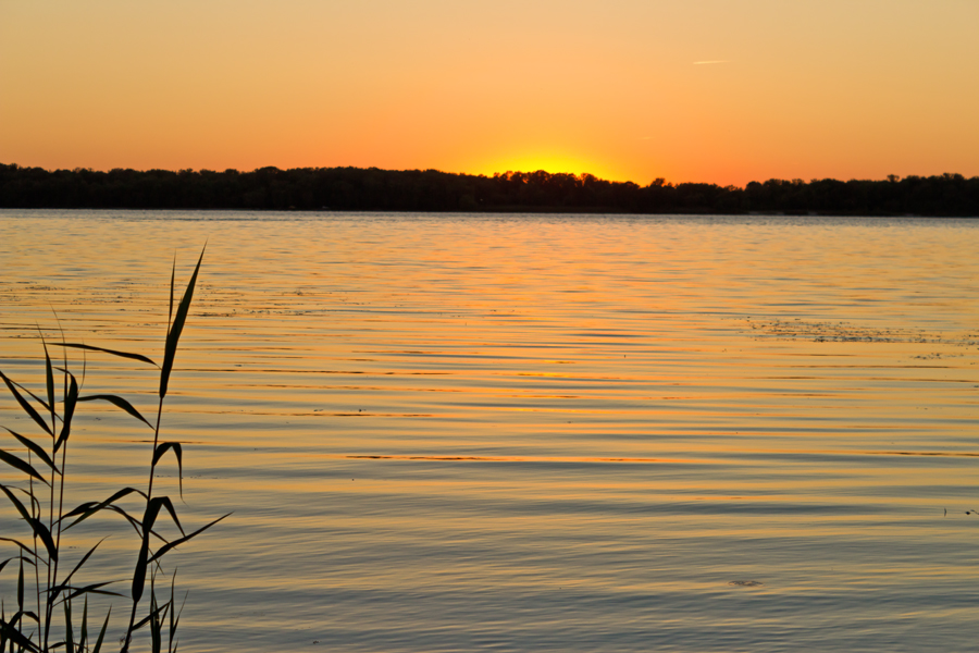 photo "***" tags: landscape, nature, Dnieper, coast, leaf, night, river, sky, summer, sun, sunset, water, камыши