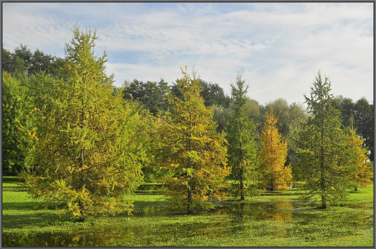 photo "***" tags: landscape, autumn