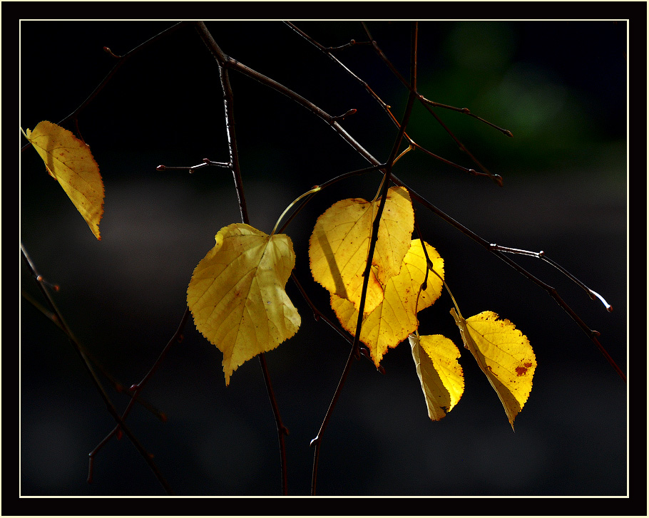 photo "***" tags: , 