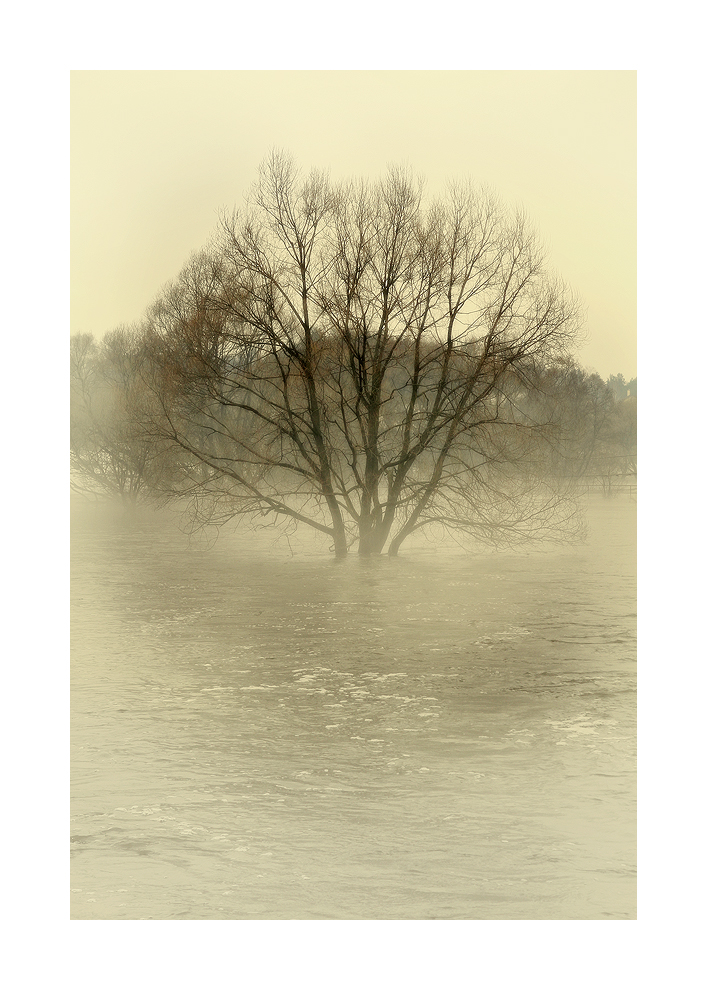 photo "***" tags: black&white, landscape, nature, clouds, fog, forest, meadow, rain, reflections, river, road, spring, village, water