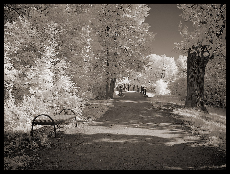 photo "***" tags: landscape, infrared