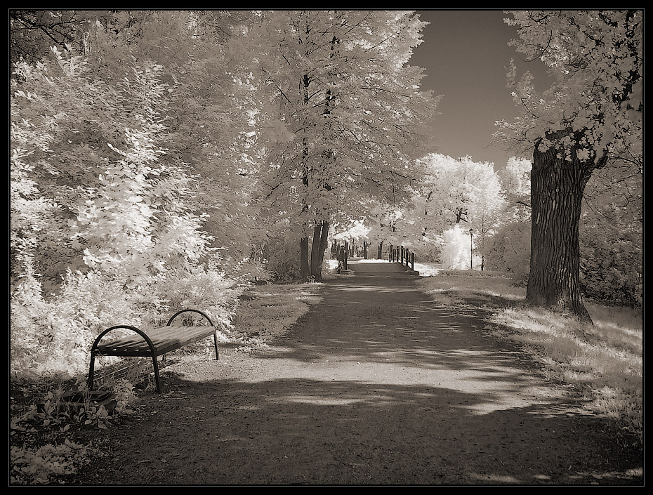 фото "***" метки: пейзаж, infrared