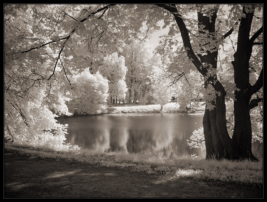 photo "***" tags: landscape, infrared