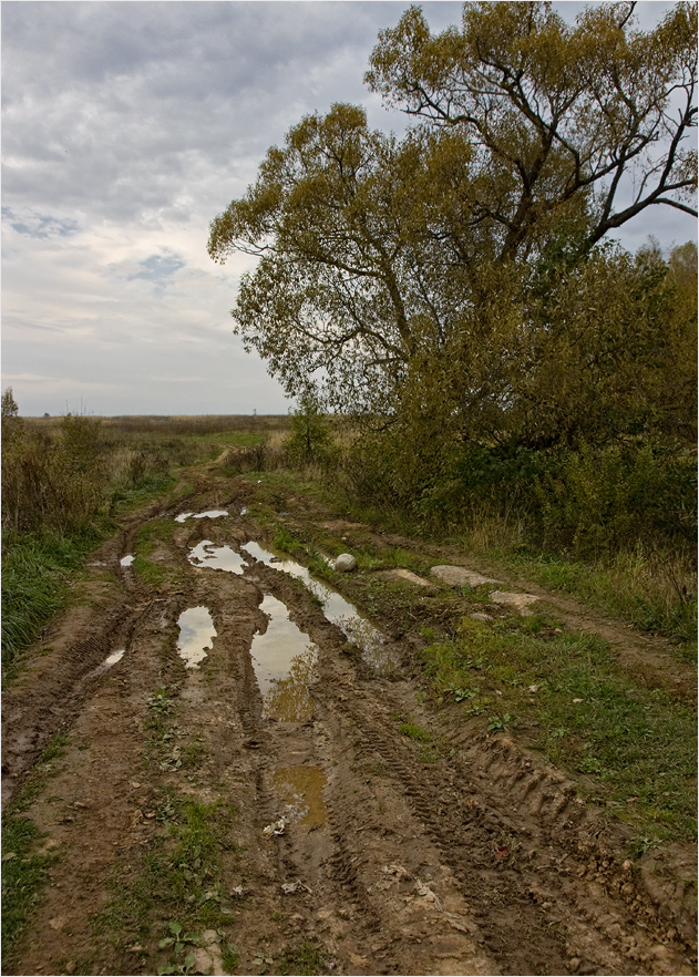 фото "дороги..." метки: пейзаж, осень