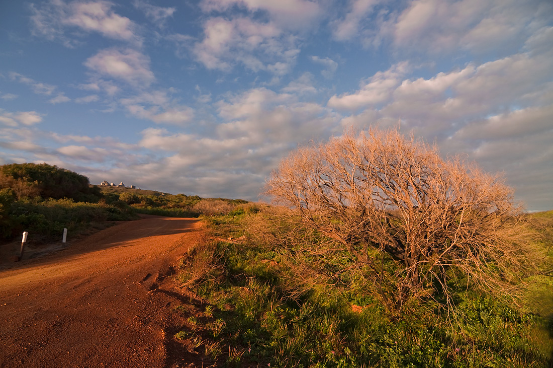 photo "Country road" tags: landscape, road, sunset, tree