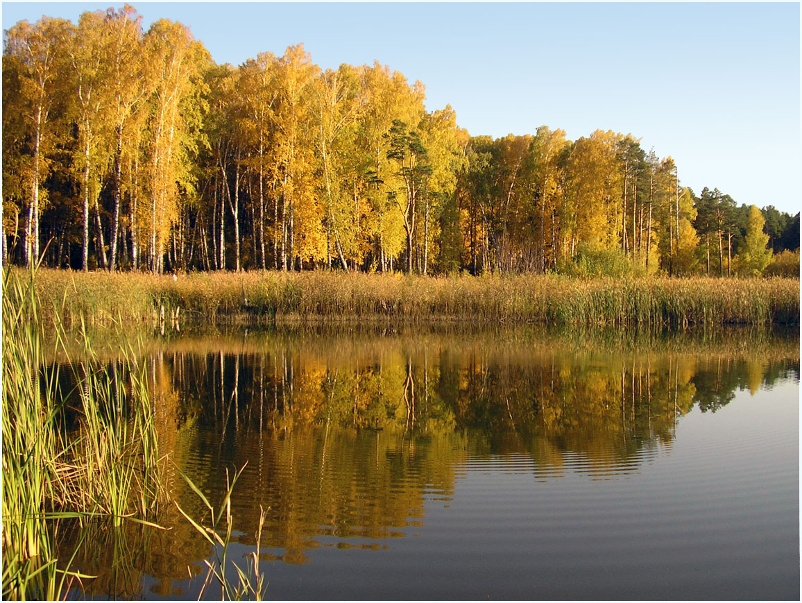 photo "***" tags: landscape, autumn, forest, water