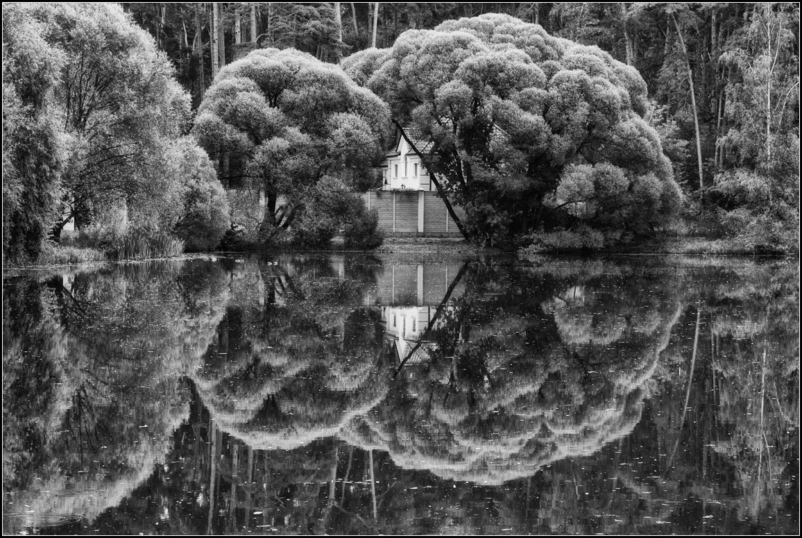 фото "зеркальная сказка" метки: пейзаж, природа, черно-белые, ивы, озеро, осень