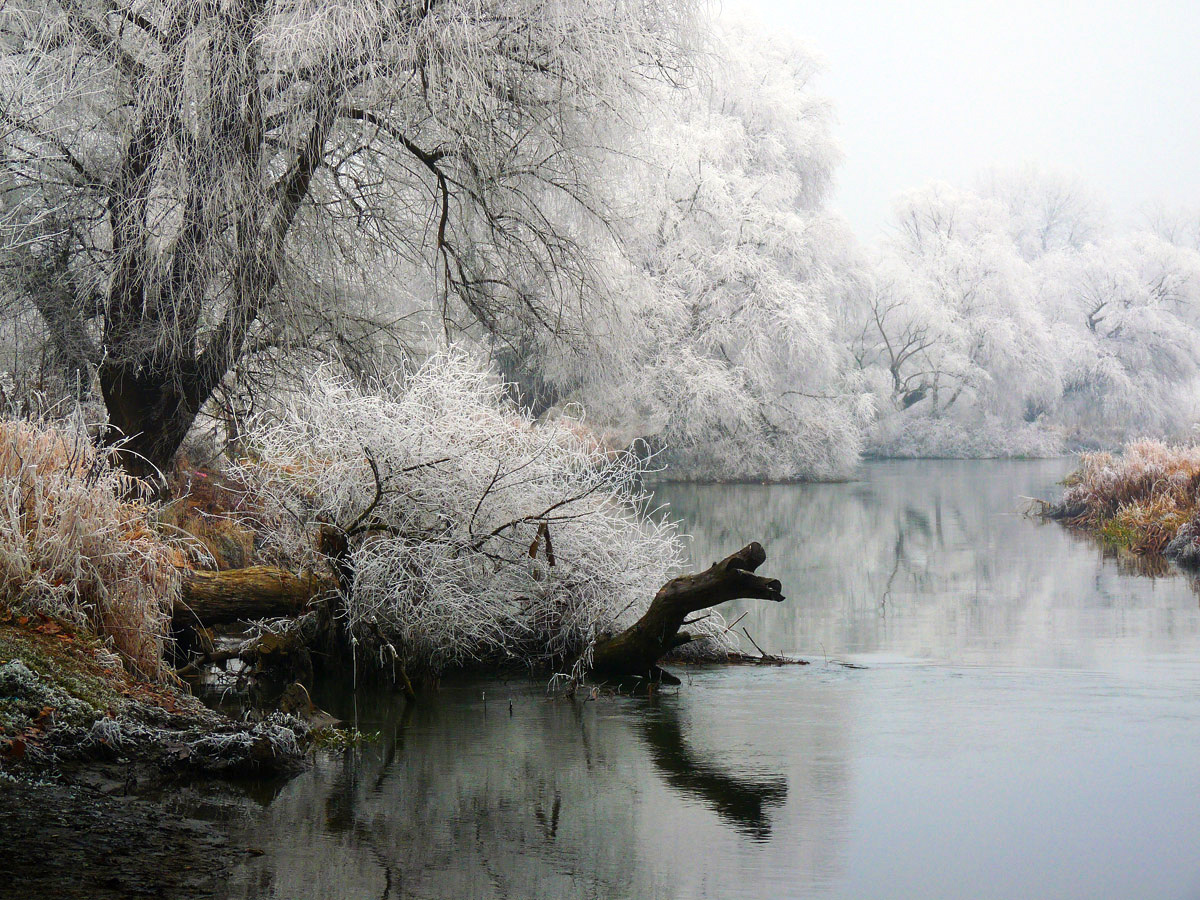 photo "***" tags: landscape, winter