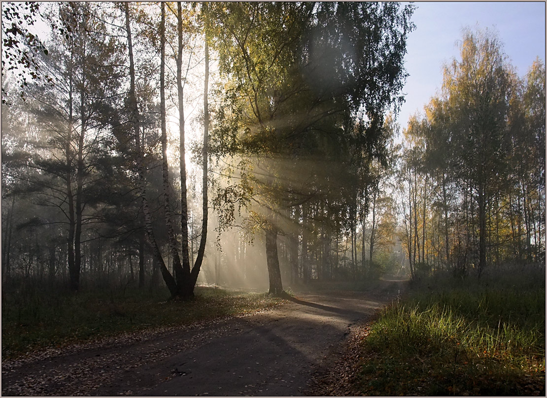 photo "***" tags: landscape, autumn, fog