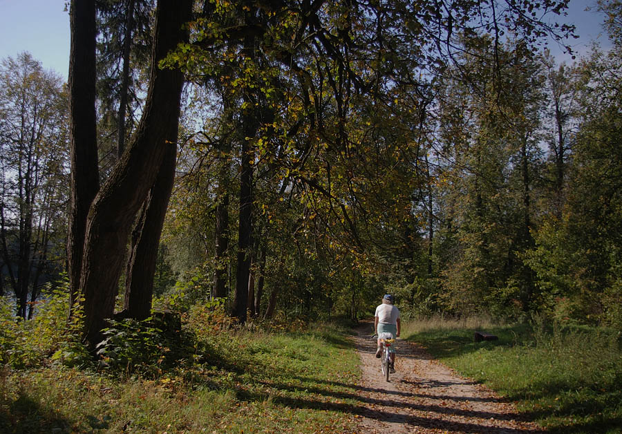 фото "В древнем парке." метки: пейзаж, 