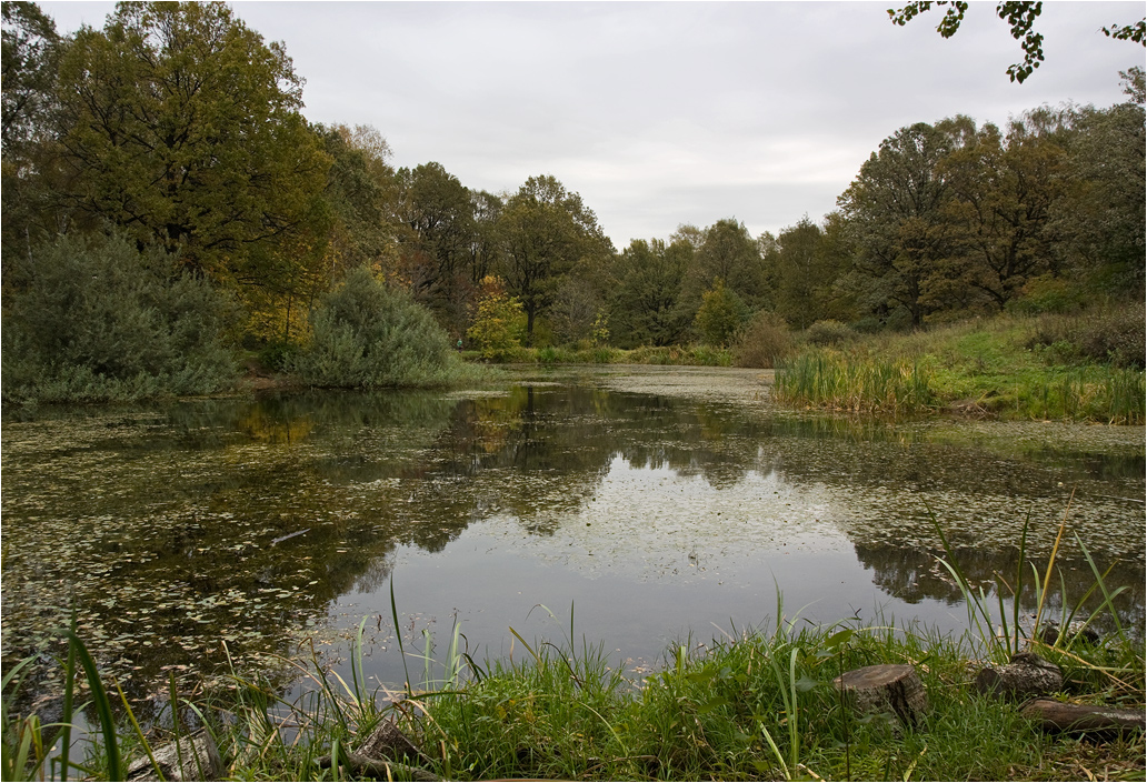 photo "***" tags: landscape, autumn