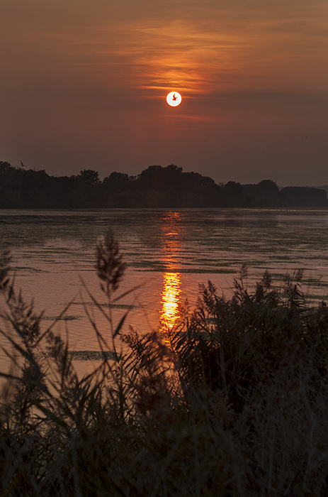 фото "atardecer en el  rio ter" метки: пейзаж, вода, закат