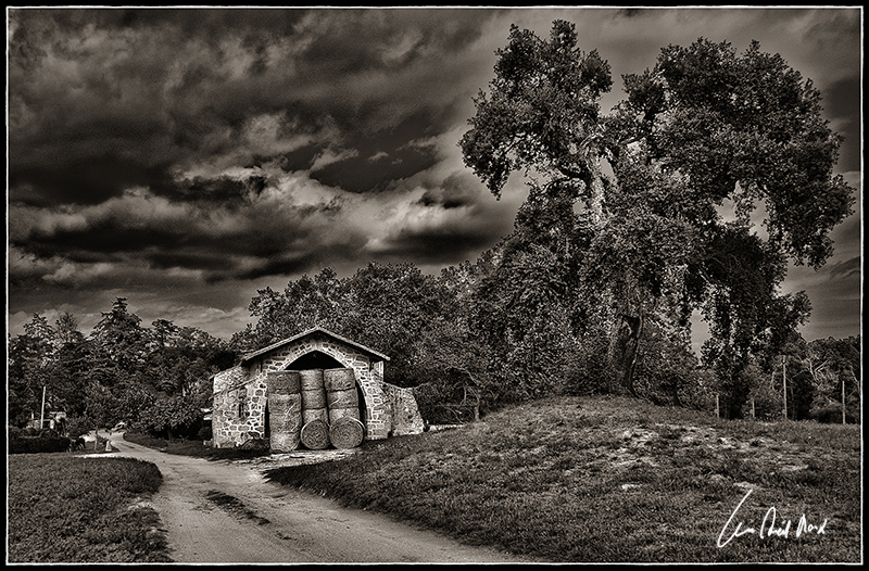 photo "un día gris" tags: landscape, black&white, 