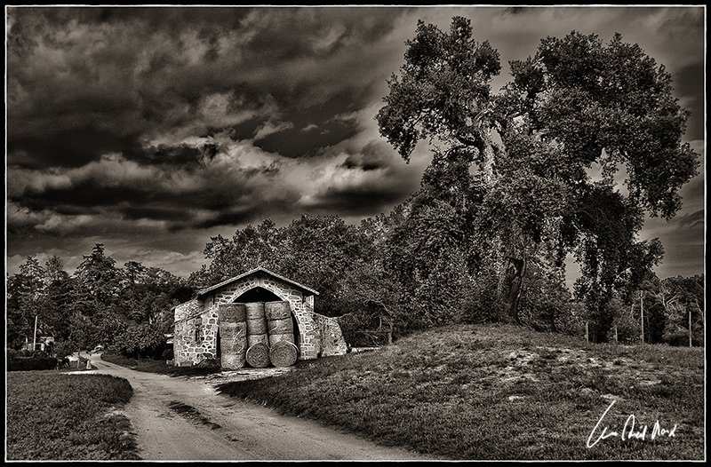 фото "un día gris" метки: пейзаж, черно-белые, 