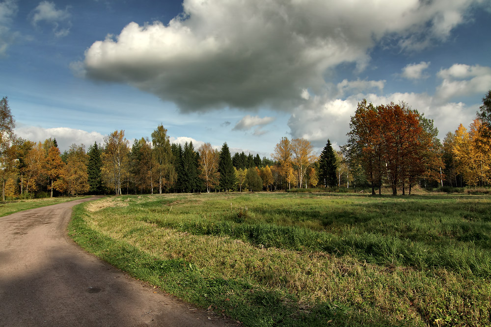 фото "Осень в деревне Мошковщино" метки: пейзаж, 