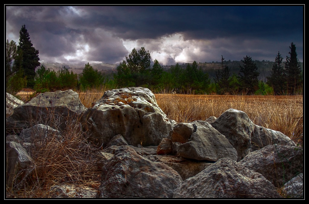 photo "После грозы" tags: landscape, travel, 