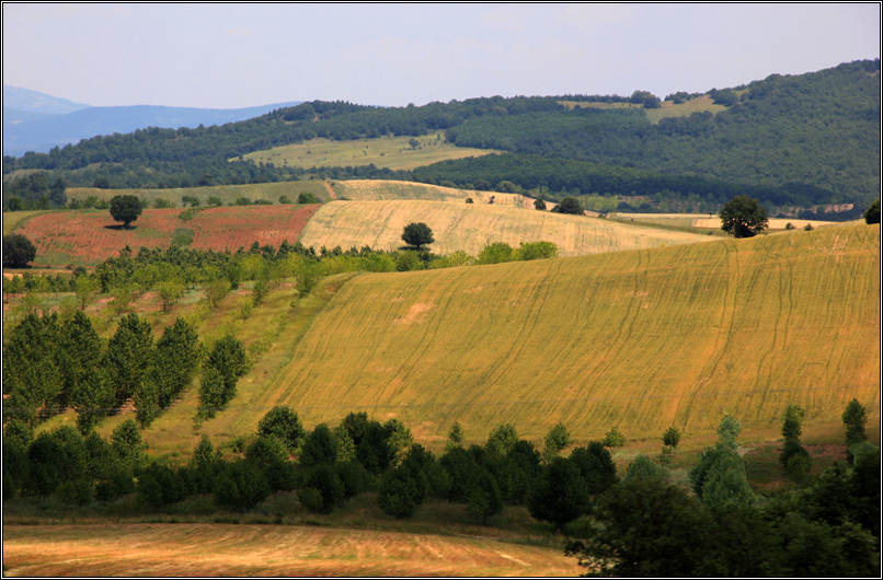 фото "WallPaper-2" метки: пейзаж, путешествия, Европа, поле