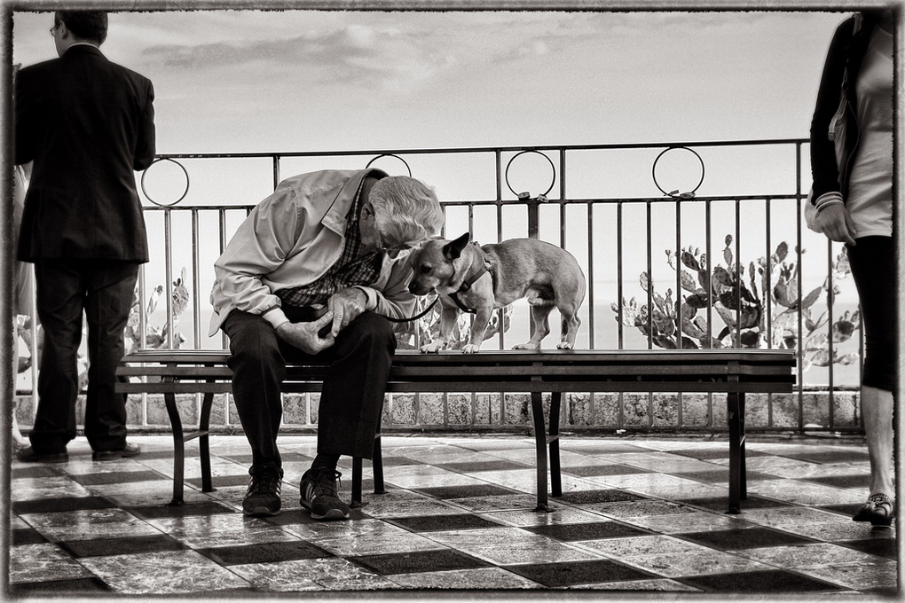 photo "Old friends" tags: genre, street, black&white, dog, friends, understanding, друзья, понимание, разговор, собачка