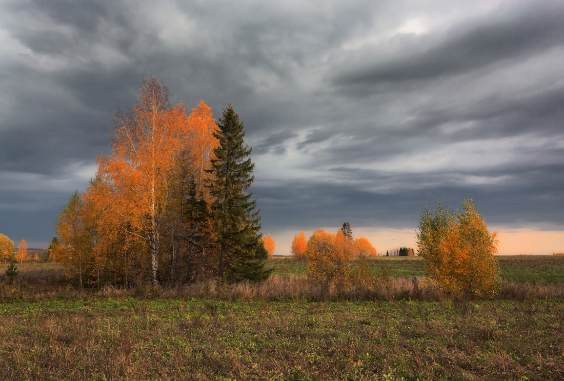 photo "***" tags: landscape, autumn, field, grass, leaf, storm cloud, tree, краски