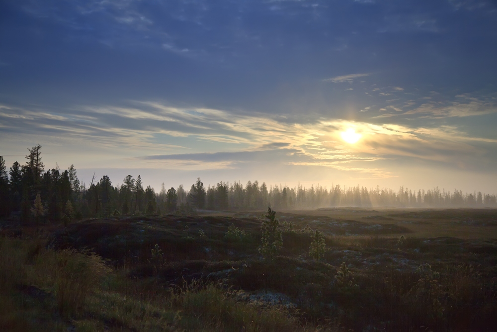 фото "Первые заморозки" метки: пейзаж, болото, осень, солнце, туман
