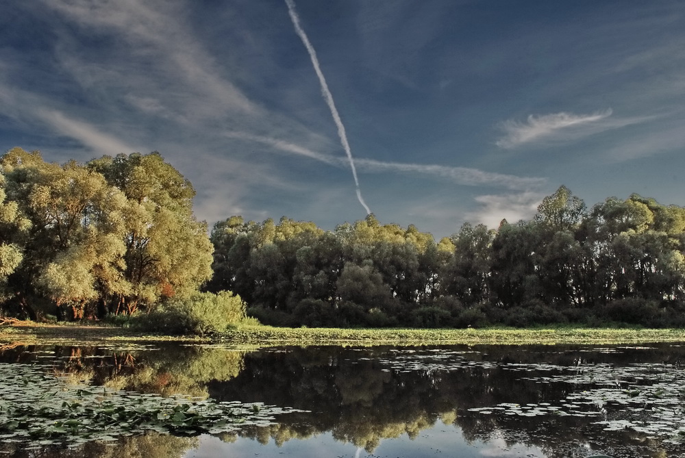 photo "***" tags: landscape, river, summer