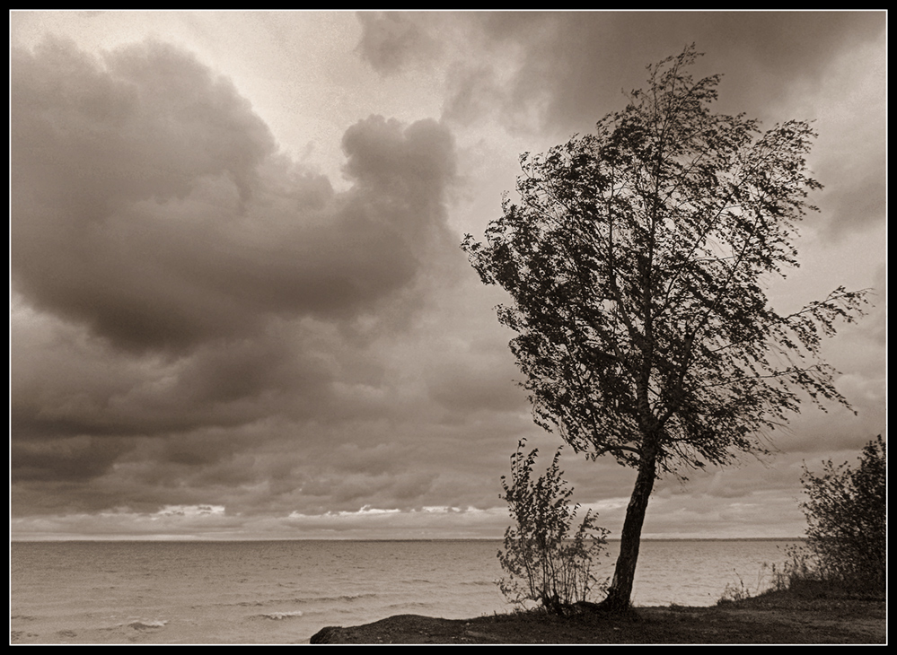 photo "On the edge." tags: landscape, black&white, 