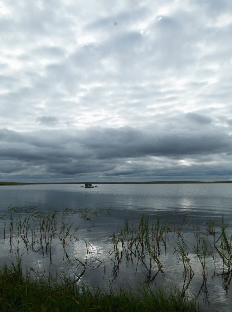 фото "***" метки: , 