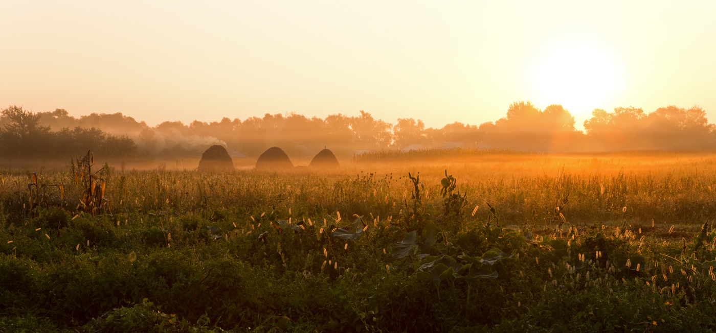 photo "***" tags: landscape, meadow