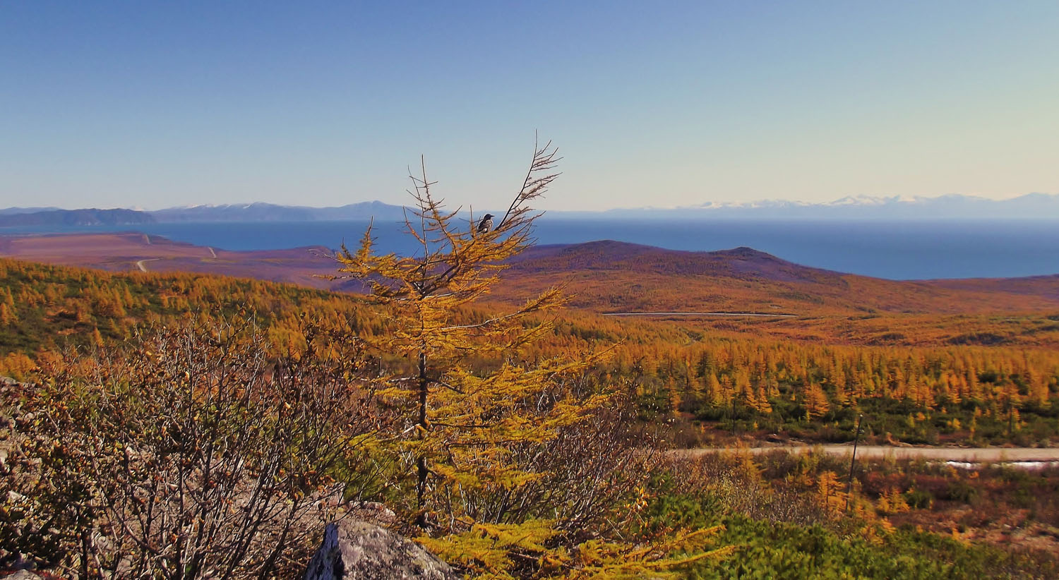 photo "***" tags: landscape, autumn, forest, sea, sky, tree