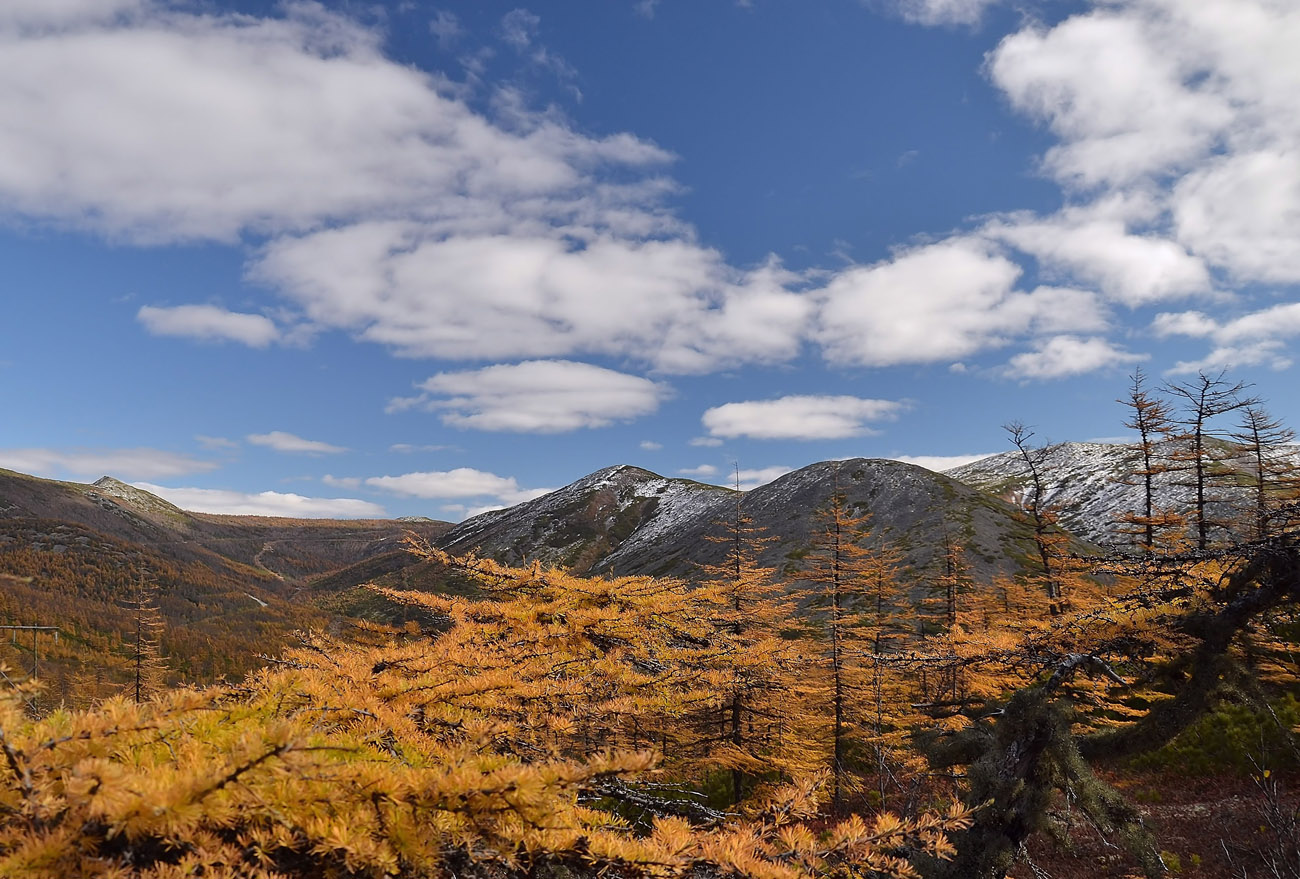 фото "Перевал" метки: пейзаж, горы, дорога, облака, осень