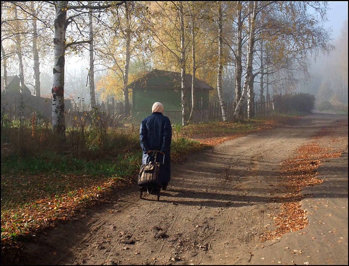 photo "***" tags: landscape, genre, autumn, fog, forest, road