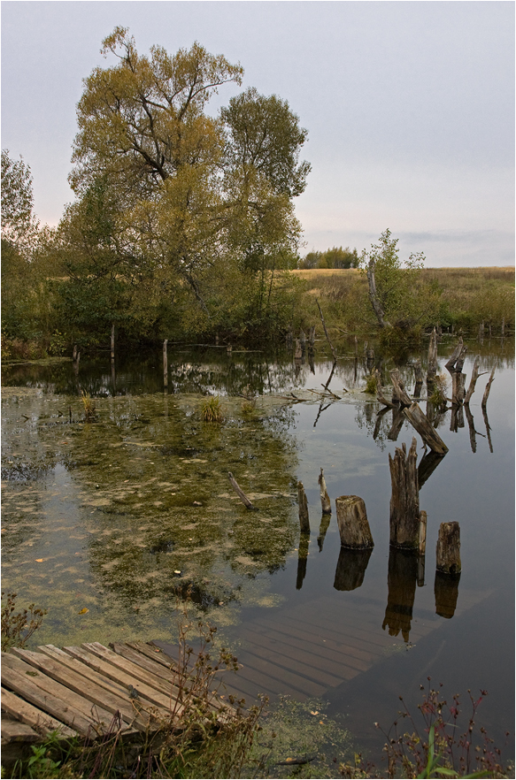 фото "***" метки: пейзаж, вода, осень