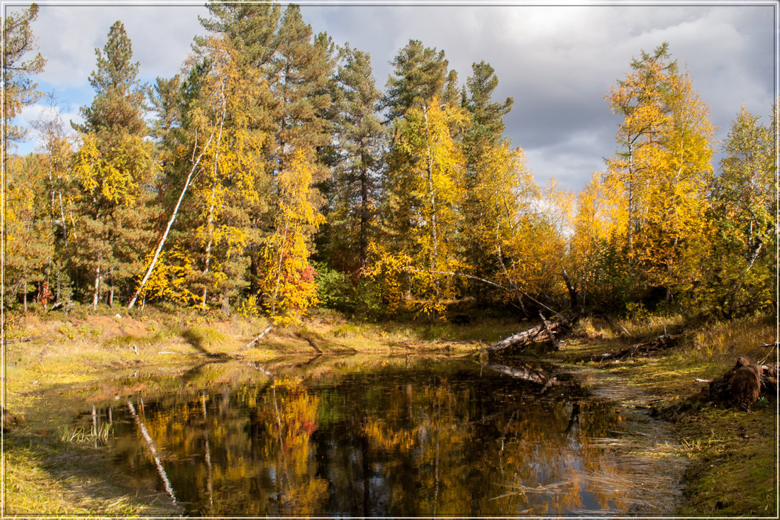 photo "***" tags: landscape, autumn, forest