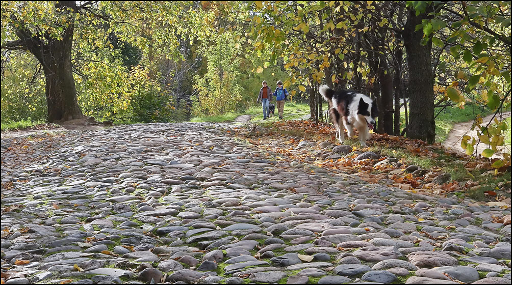 photo "***" tags: landscape, street, misc., autumn