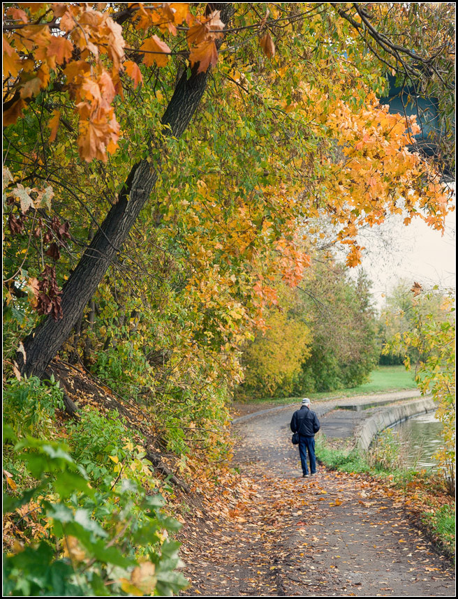 photo "leaving fall" tags: landscape, genre, 