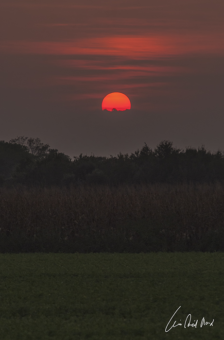 photo "***" tags: landscape, sunset