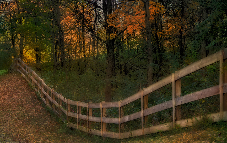 photo "***" tags: , 
